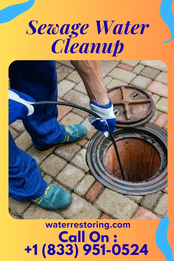 Sewage Water Cleanup in Weddington, NC